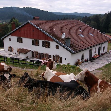 Appartement La Timoniere Gérardmer Eksteriør billede